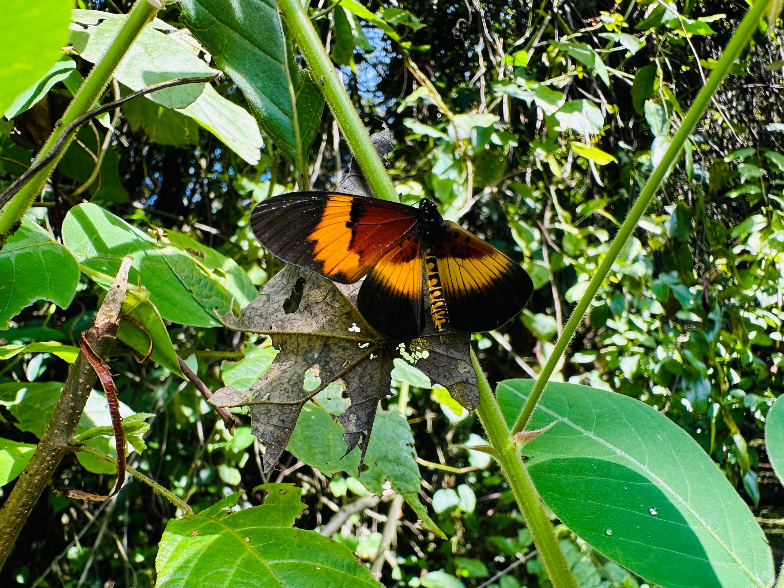 April - Abu Simbel, Egypt